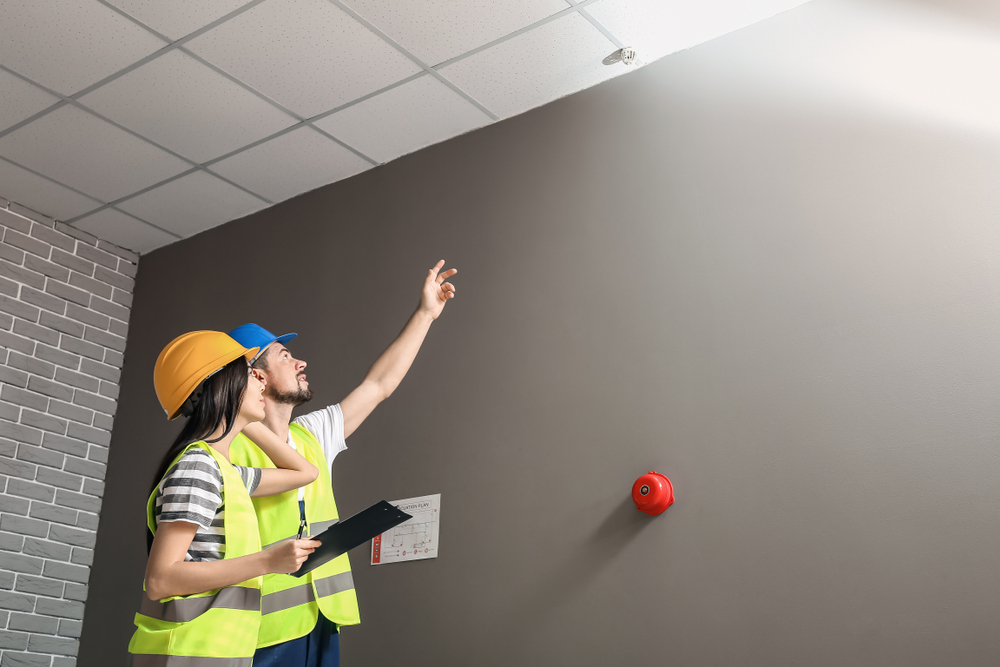 Renovlies voorbereiden in Zwolle voor een goede ondergrond en hechting van het behang.